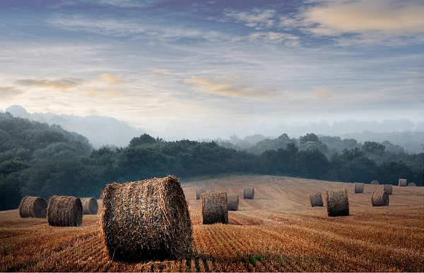 paysage 3_08_11 n03.jpg
